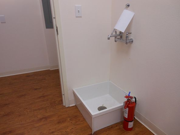 Suite 6